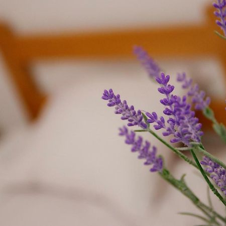 סובוטיקה Guesthouse Night&Day מראה חיצוני תמונה